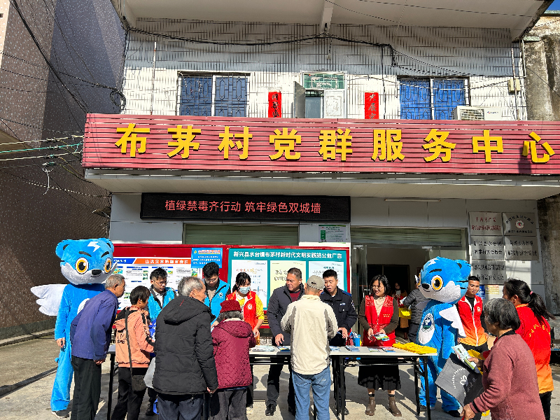图片3.png