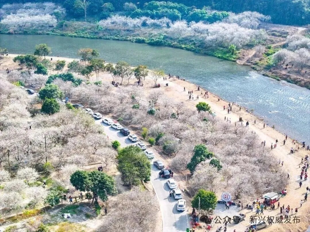 河头222.jpg