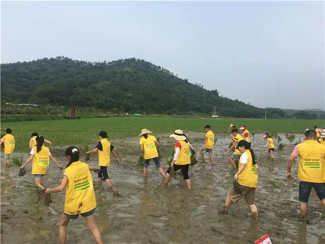 微信图片_20200826161101.jpg