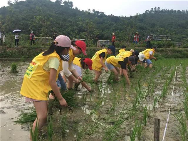 微信图片_20200826161106.jpg