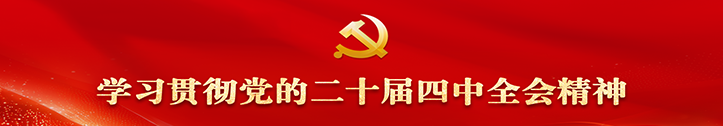 学习贯彻党的二十届四中全会精神