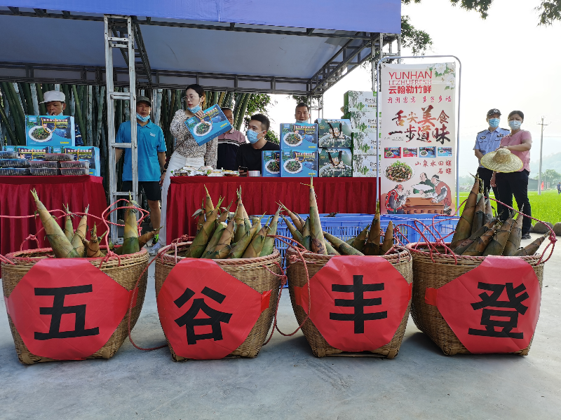 簕竹庆丰收,展现镇域经济发展新蓝图-广东省建设快讯-建设招标网