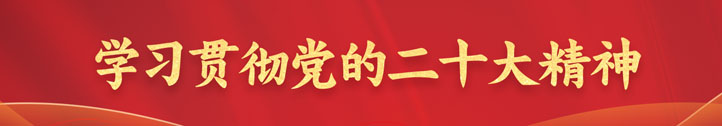 学习贯彻党的二十大精神