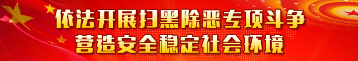 依法开展扫黑除恶