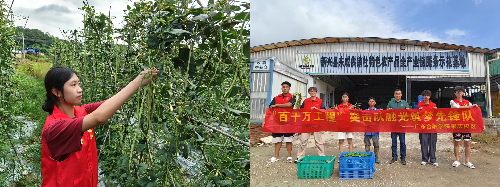 拼图2.jpg