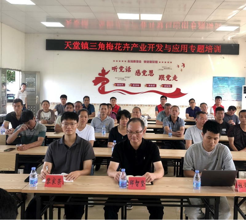 图片3.png