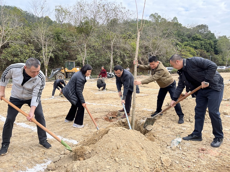 2025年2月6日，六祖镇开展“植树添新绿，共建乡村美”义务植树活动.jpg