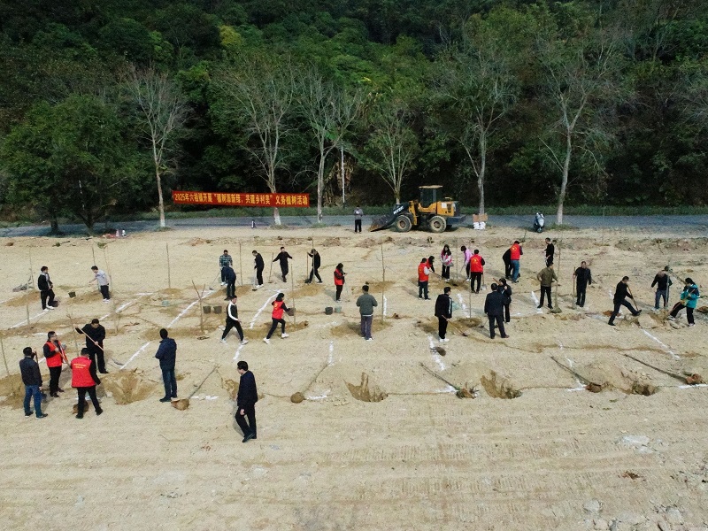 2025年2月6日，六祖镇龙山塘村开展“植树添新绿，共建乡村美”义务植树活动.jpg