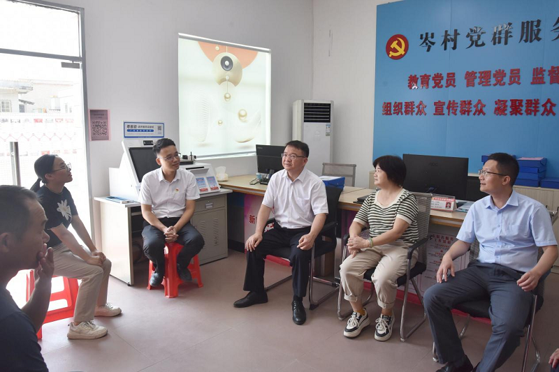 县委副书记陈志林到岑村督导.png