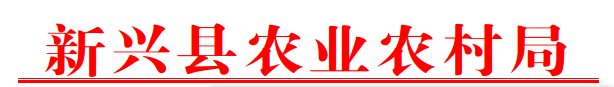 screen_shot_1651225448590.png